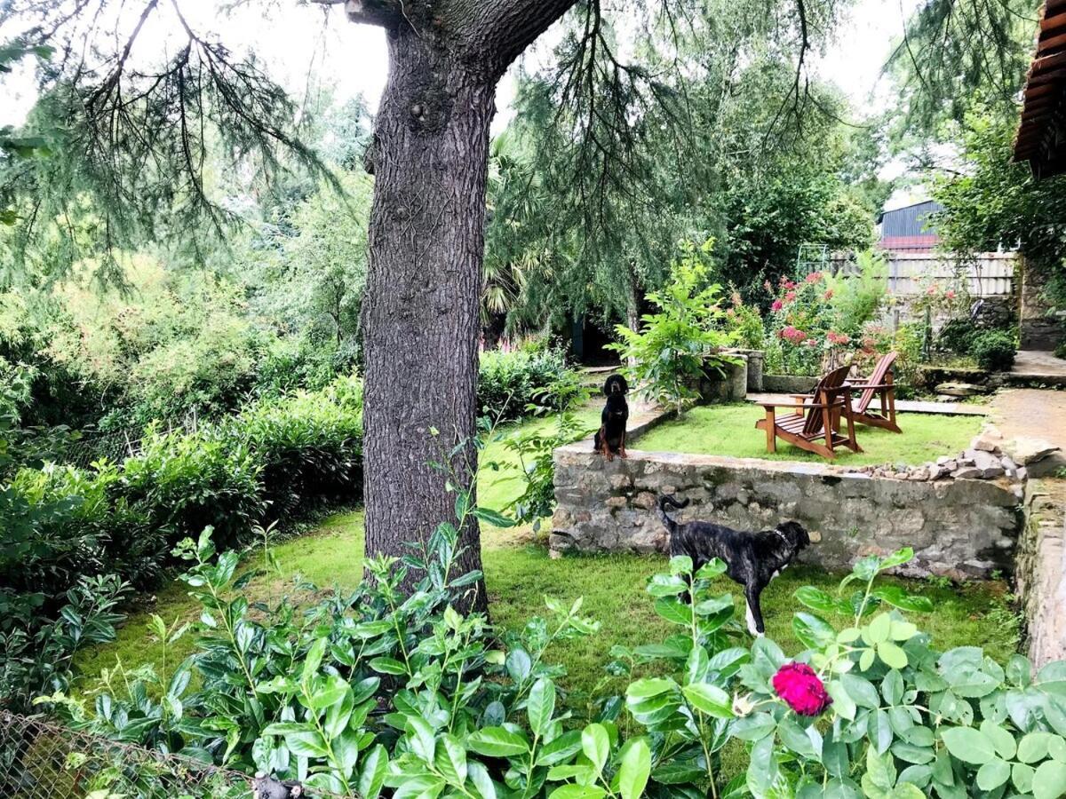 Maison L'Or Du Temps, Chambres D'Hotes La Boissiere-de-Montaigu Esterno foto